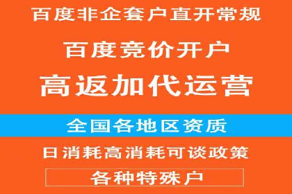 成功案例揭秘：如何通过百度推广开户提升业务效果